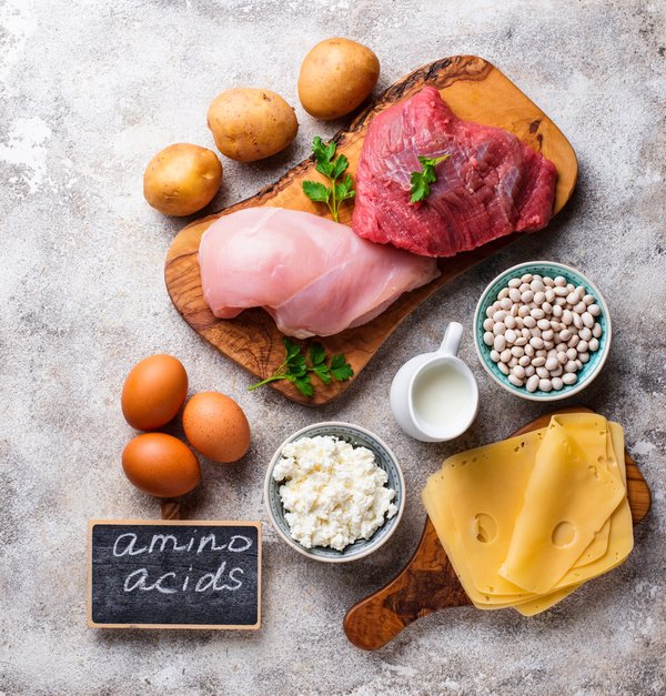 Acides aminés : top stratégies pour performance et récupération